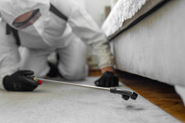 Professional Bed Bug Control technician working in River Ridge, FL